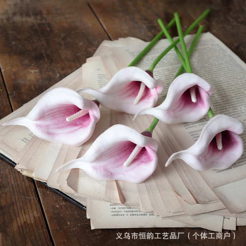 흰색 바탕에 보라색 흰색 심장