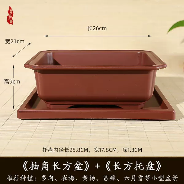 Rectangular, purple, 26cm, 21cm, 9cm