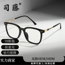 �¿�羳ʱ���۾�TR86031��������ϵins��������ƽ���۾���