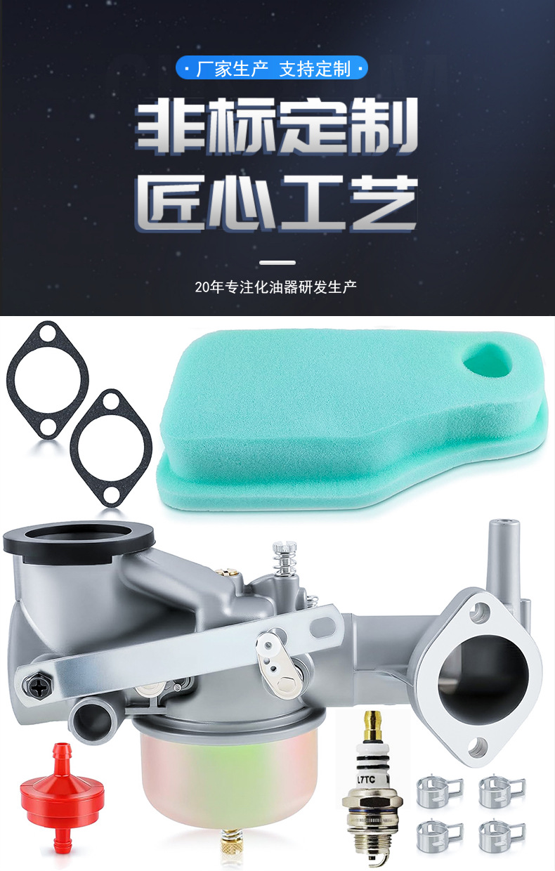 Bailiton 491590 Carburetor Kit 390811 392152 191700 192700
