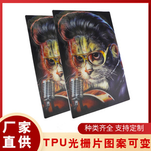 ܛ�|tpu���Ƭ������܇�pܛ�zƬ���S׃�D3D���w׃��ӡˢ