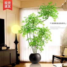 ����������Gֲ�p���҃ȴ���������Կ͏d�[�������ٻ���