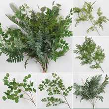 ɭϵ�Gɫ���Gֲ�~�ӻ�c��픻������~��@�٘��~�߲����b�