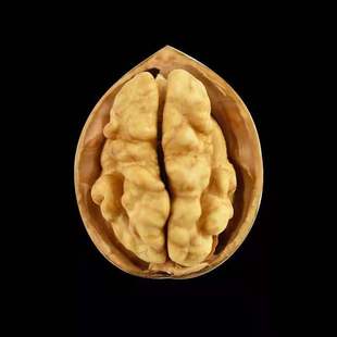 �½���ϴ185 32mm+ �ɳ����̙z������60%+������90%+ 25kg/��
