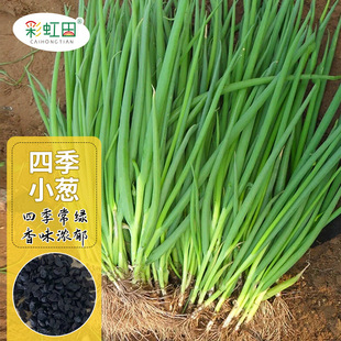 ��ó��ļ�С�[�N���̨����С���[�N���r��ͥԺ�߲˷N��֧�ִ��l