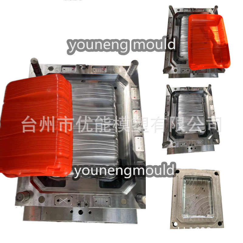 Customized Professional Plastic Mold Suitcase Mold Luggage Trolley Case Mold