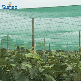 农用遮阳网;遮阳网;防鸟网