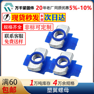 ����������ĸ 4.8������\������ĸ ���������ۏ�����ĸ