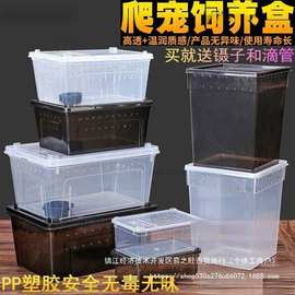 人渣盒爬虫箱螳螂跳蛛养蚕饲养盒爬行动物睫角寄居蟹饲养箱默认