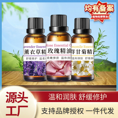莜婷单方精油 玫瑰洋甘菊植物薰衣草美容院刮痧身体面部按摩精油