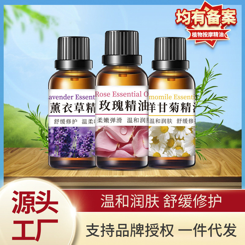 莜婷单方精油 玫瑰洋甘菊植物薰衣草美容院刮痧身体面部按摩精油