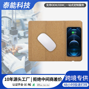 深圳市泰能科技有限公司