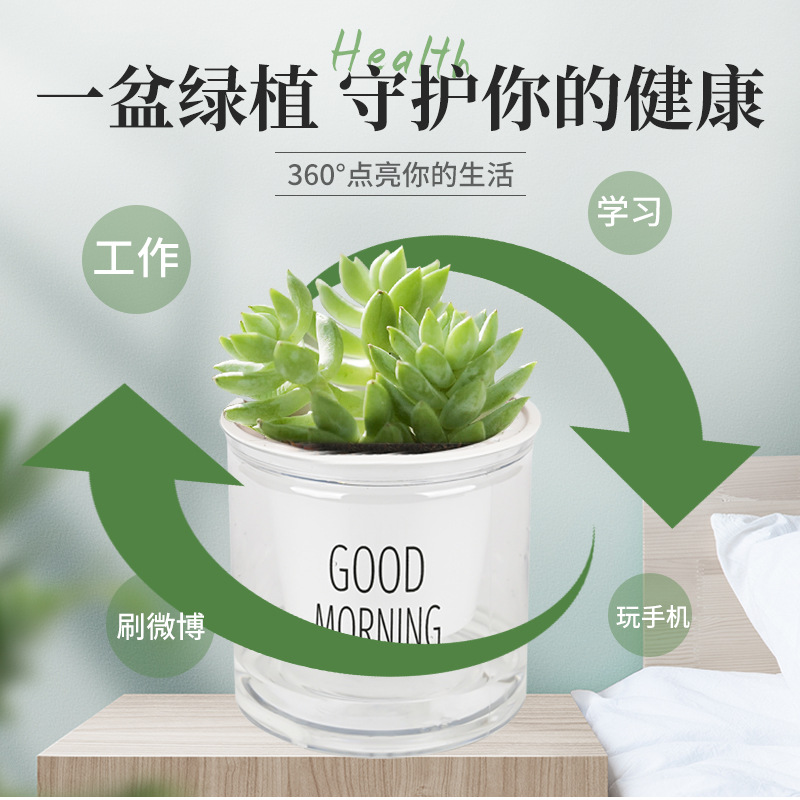 Lazy Pot Auto Absorbente de plástico transparente circular hidropónico Suculento creativo de resina Good Morning Pot