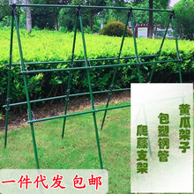 爬藤支架絲瓜豆角百香果苦瓜葡萄 黃瓜架子菜園 庭院家用架網包塑