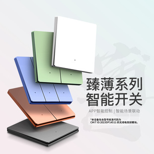 Switch Skin-Feel Pc Bluetooth Mesh Wireless Voice Remote Dual-Control Scene Whole-House Light Panel Smart Voice Control