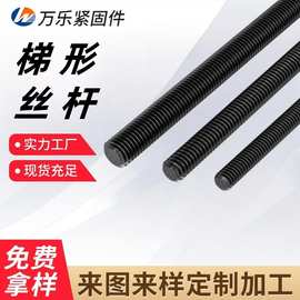 定制1米牙条丝杆3米全螺纹螺柱12.9级高强度全牙螺杆梯形丝杠螺丝