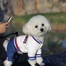���������·����_�ﶬ������Ȯ�Ӻ񶬼��ӽq����С��Ȯ����̩�Ϲ�