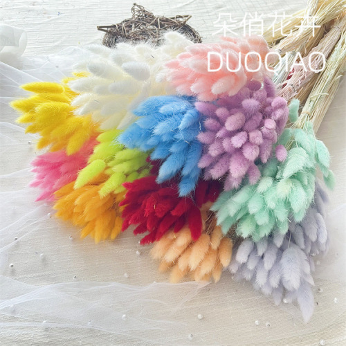 Dried Rabbit Tail Grass Natural True Flower Artificial Flower Preserved Flower DIY Rural Style Ornament Home Decor Mini Preserved Flower