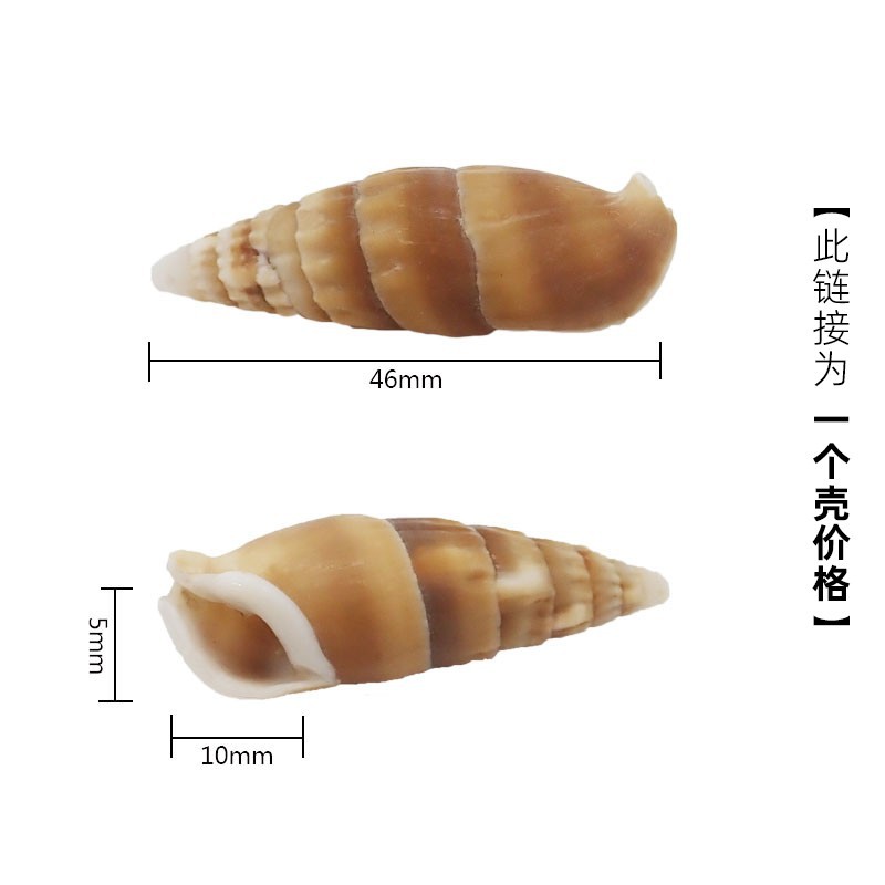 2-3cm 크기의 게에 적합한 황백색 X96 인삼 달팽이