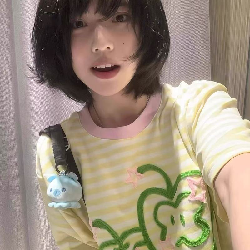 小柄なアップル刺繍キャンパスストライプ半袖Tシャツレディース2025年夏新作ゆったりスリムカジュアルスタイルトップス|undefined