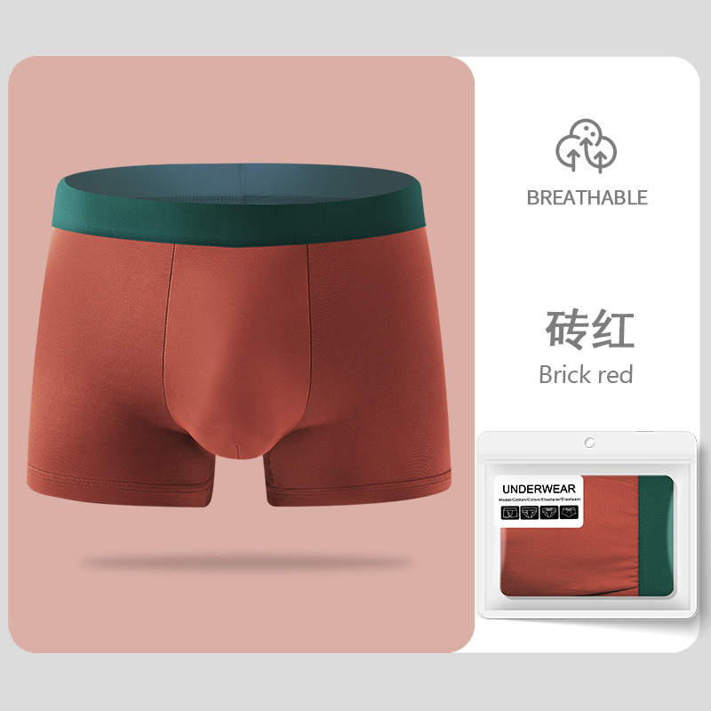 Comercio exterior transfronterizo hombre calzoncillos de invierno transpirables cómodos pantalones cortos de cuatro esquinas de color sólido pantalones grandes