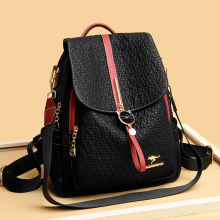 �p���2023�¿�r�аٴ�Ůʿ�������s�ٴ�������W���������s���