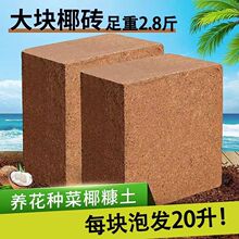 ���ݰl��KÓ�}Ҭ�uҬ��Ҭ���N���B���o���I�B����ͨ����Ҭ����