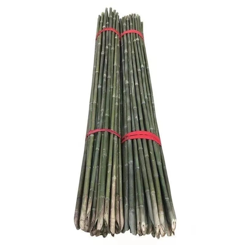 竹竿菜园搭架蔬菜黄瓜番茄豆角架杆竹篱笆栅栏小竹子细竹竿爬藤架|undefined