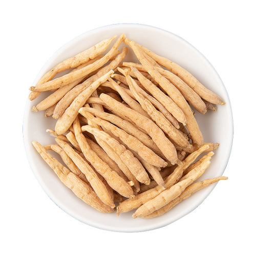 Wholesale Bulk Prince Ginseng – Fresh Stock from Zhongrong Tongshen & Erhern Shen, Origin-Sourced Ingredients for Children’s Nourishing Soup Preparations