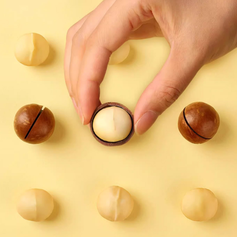 Annual New Year Nuts & Snacks Deluxe Gift Set: Factory Wholesale Employee Benefit Combo—Pumpkin Seeds, Macadamia Nuts, and Assorted Snacks in a Festive Gift Box