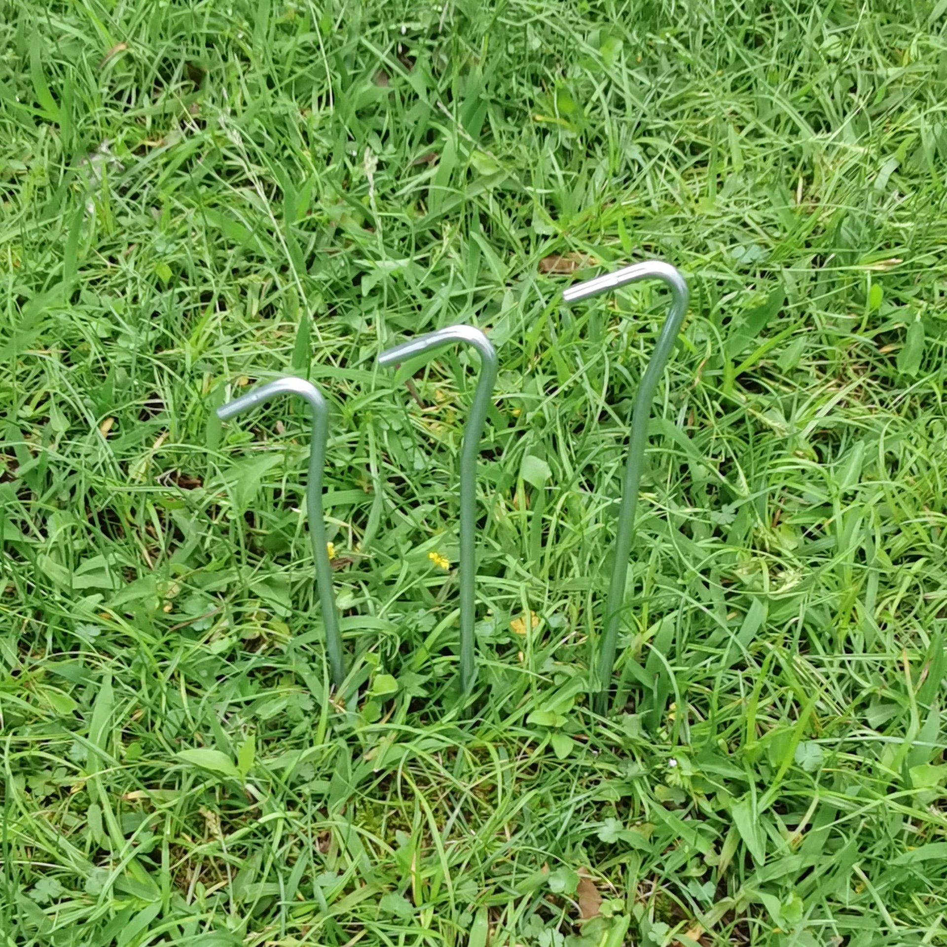 微信图片_20220427125435