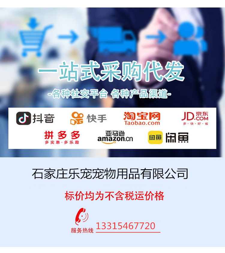 b11-b12-b5-b6-b7_19_副本