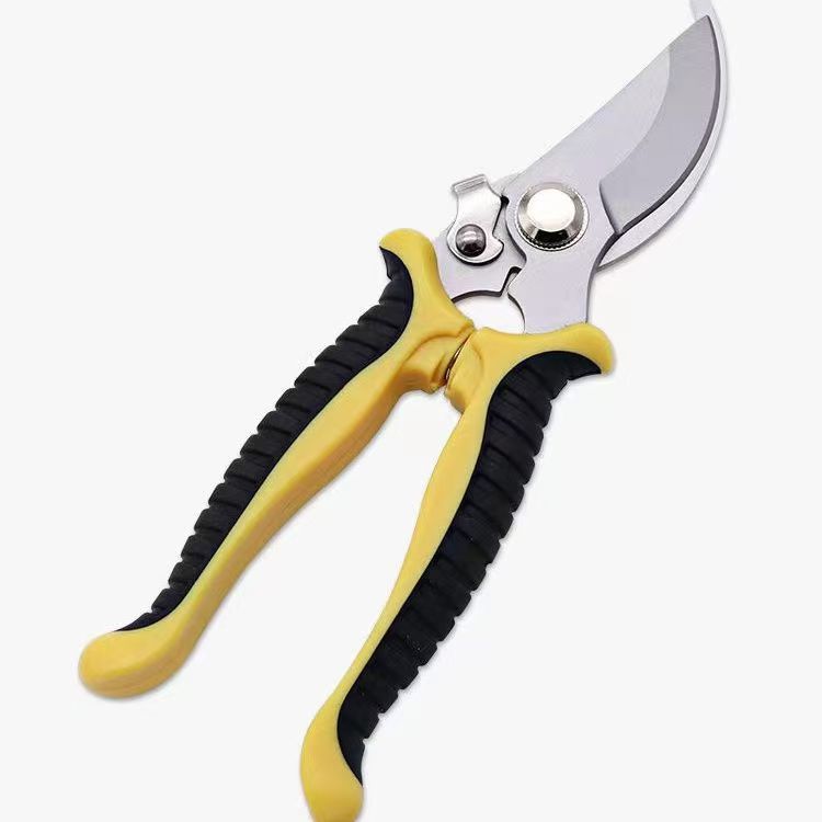 微信图片_20240815225438