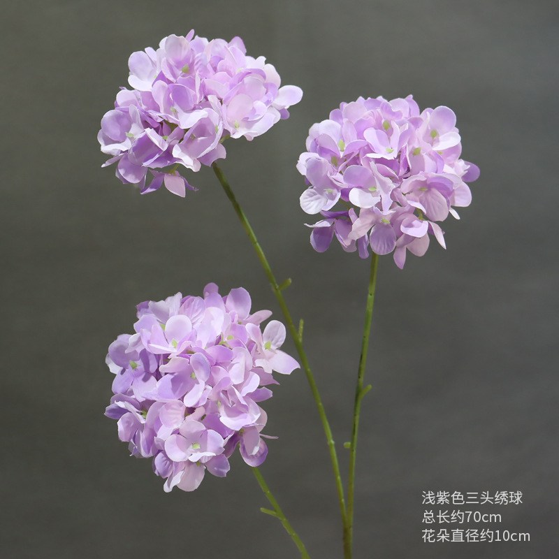 Hortensia de tres cabezas de color púrpura claro