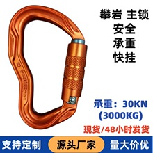 D型铝合金登山扣自动主锁攀岩探洞保险扣卡扣户外天幕专用挂扣