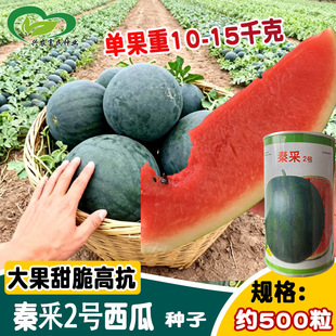 ǧ�����2̖���ϷN�� ����A���t���ִ�ڵ������ϷN�� ¶�غ���