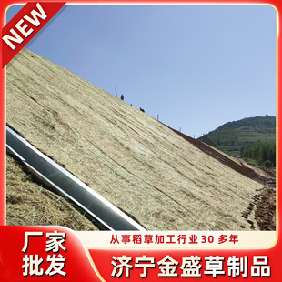 Green Grass Blanket Straw Blanket Mountain Slope Protection Grass Blanket Moisturizing Grass Curtain Environmental Protection Straw Plant Fiber Blanket