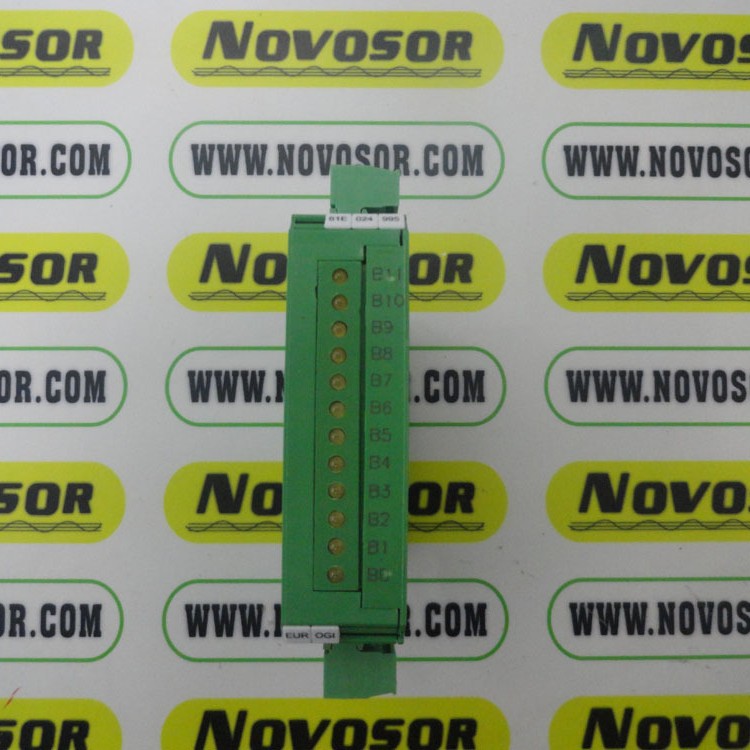 EUROGI 继电器 11E000500 24Vdc 2A 19Vac 53x82x-