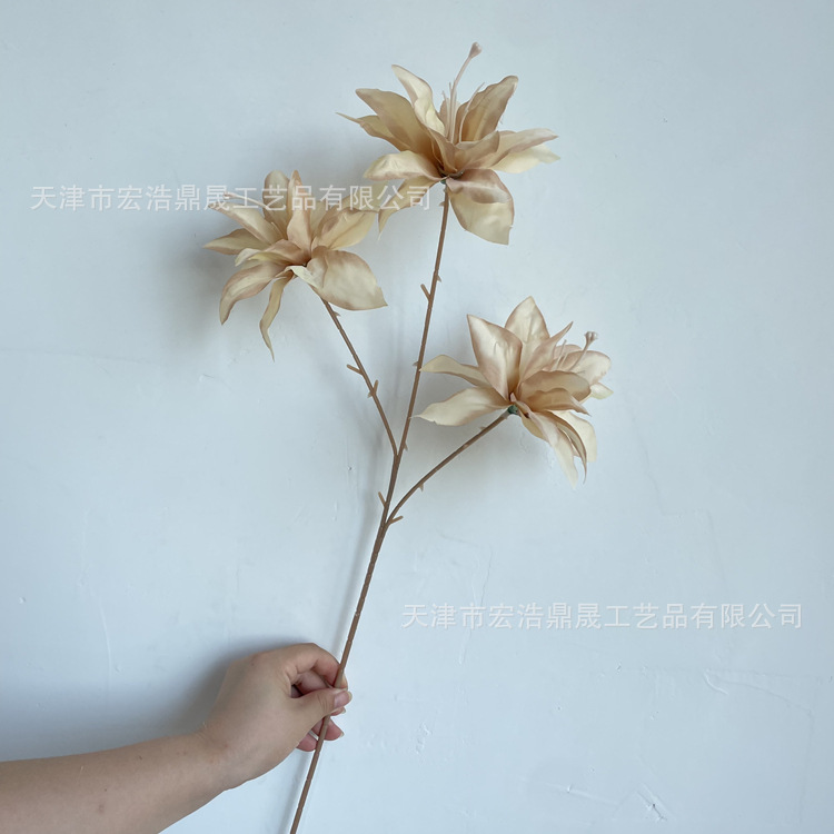 微信图片_202208111655476_副本