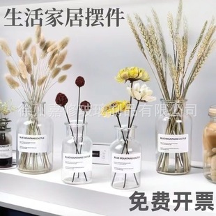 Wholesale Ins Floral Glass Bottle Vase Flower Vessel Reagent Bottle Brown Brown Scandinavian Retro Industrial Style Vase
