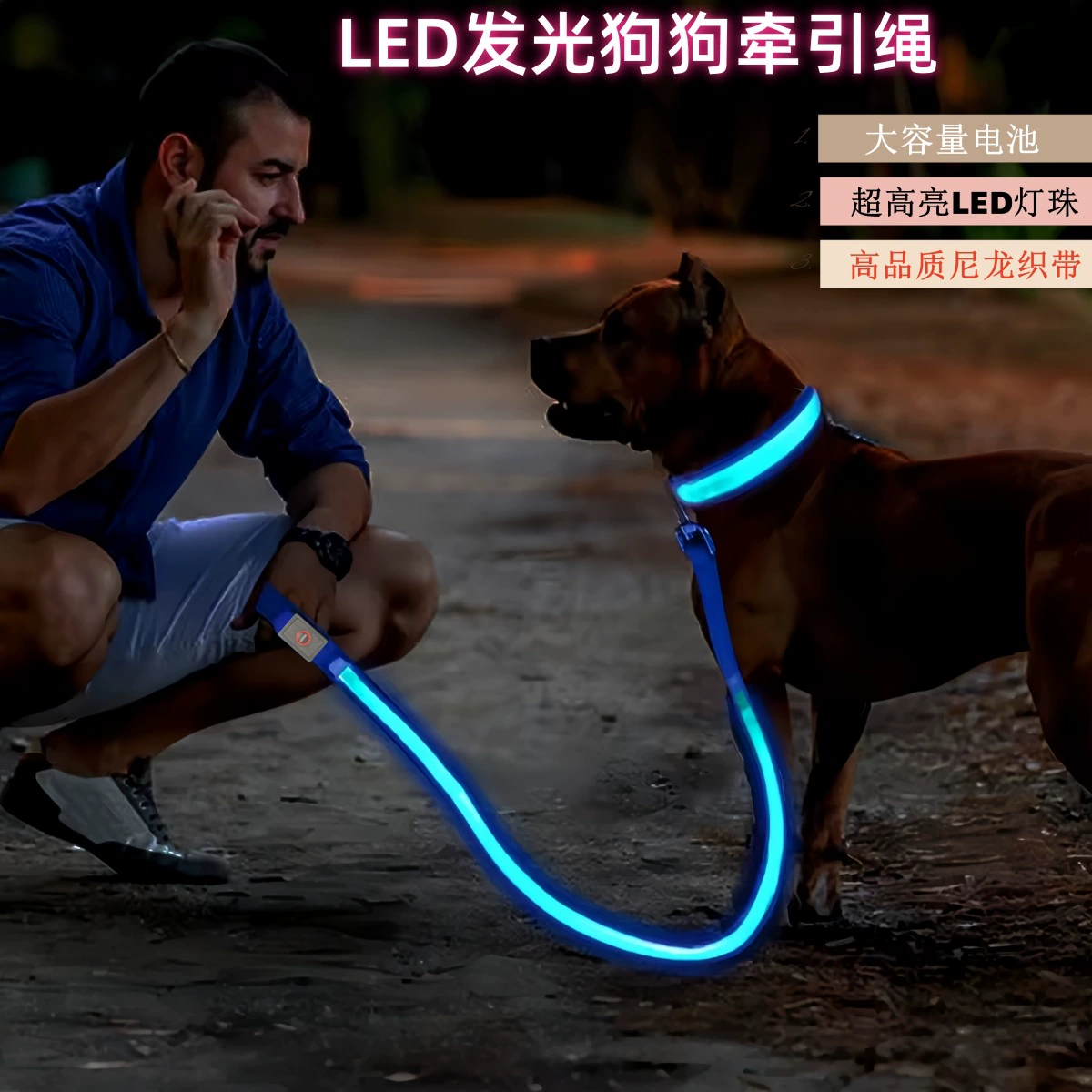 USB-заряжаемый светящийся поводок для собак из светоотражающего нейлонового ремня для ночных прогулок, подарок для питомца