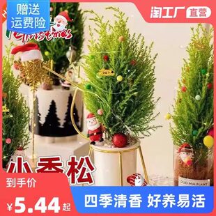 ��ڰ�С��������ֲ���}�Q������������҃�ֲ���ļ��}�Q�Gֲ�YƷ