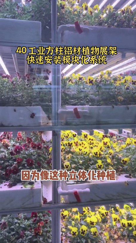 ֲ����ֲ��չ�ܹ�ҵ����4040��װ���Ӳ����ũ��Ʒ��ˮ�߿������