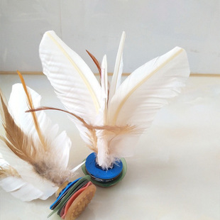 ��ӳ��˽������ɫ�Zë���uë�ţ��׃�ͯС�W����ِ������l