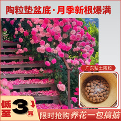 多肉透气土陶粒 无土栽培隔水透气无土栽培基质 水培植物铺面垫底