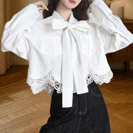 法式新款气质蕾丝镂空女衬衫春秋季宽松百搭短款长袖白色上衣外套