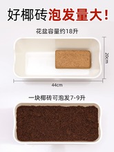 椰砖爬宠寄居蟹专用乌龟仓鼠垫料椰糠苔藓冬眠用品爬虫保湿温椰土