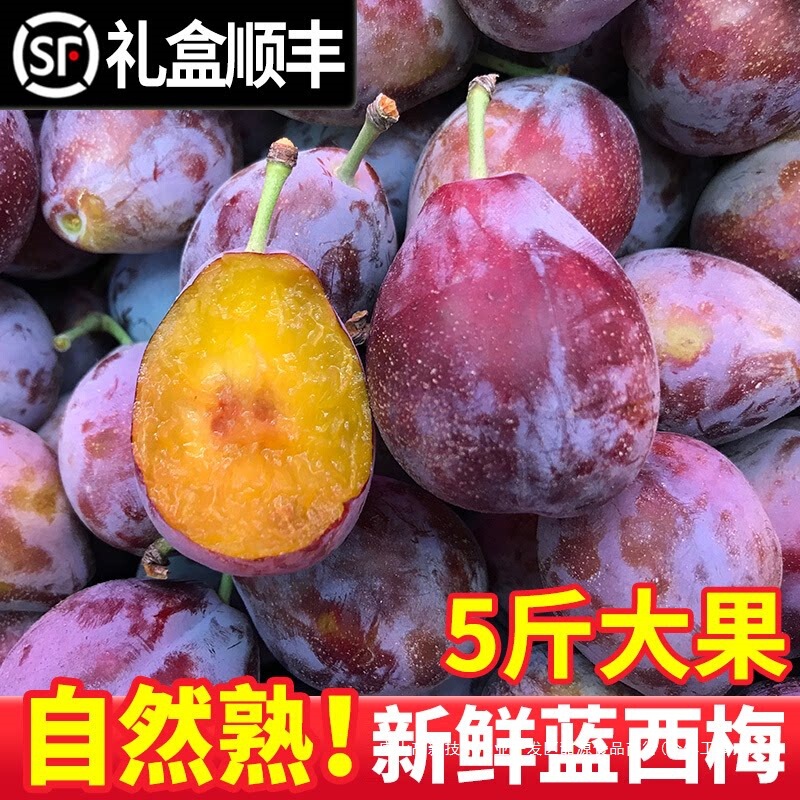 Authentic Fresh Prunes, Seasonal Whole Box Fresh Plums, Sweet Blue Honey Extra-Large French Prunes Gift Box, Sf Express Authentic Fresh Prunes, Seasonal Whole Box Fresh Plums, Sweet Blue Honey Extra-Large French Prunes Gift Box, Sf Express