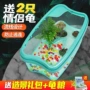 水陆生态两用家用缸