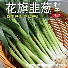 ������[�N�Ӵ�ȫ�������⌒�~���[��N��ԭ�b�N�Ӵ�ȫ���l���l